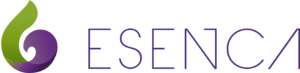 ESENCA.Agencia de Marketing